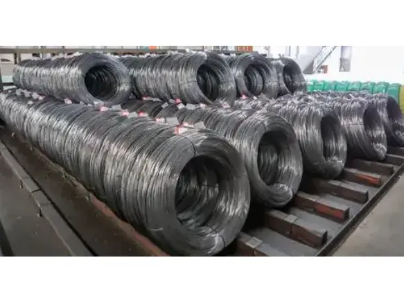 Culcita Spring Ferro filum